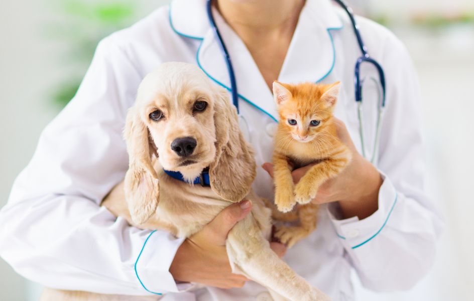 veterinary services in Roswell GA