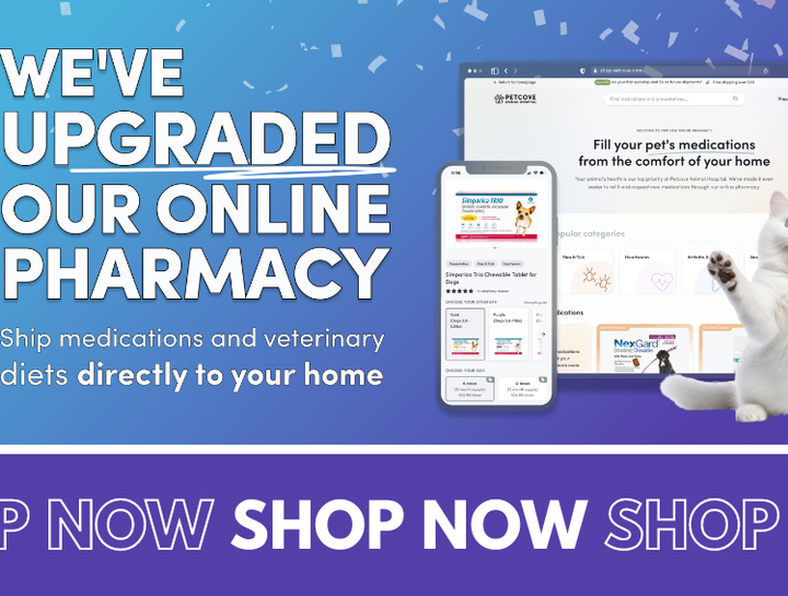 Carousel Slide 1: Shop Our Online Pharmacy!