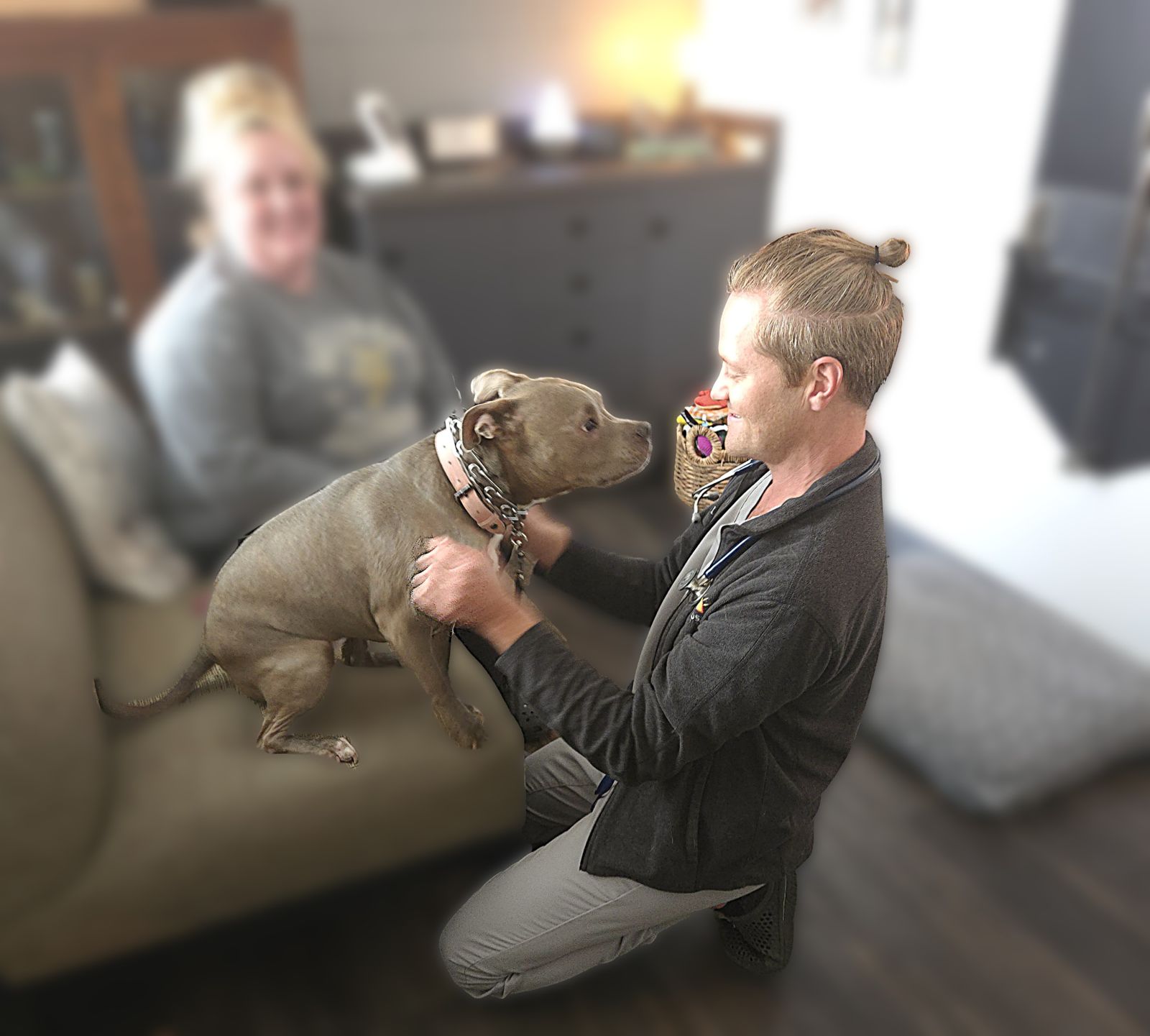 Featuring our Natural Veterinary Medicine Service with Dr. Lane