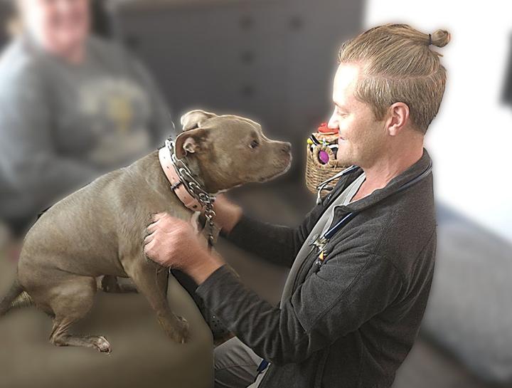 Featuring our Natural Veterinary Medicine Service with Dr. Lane