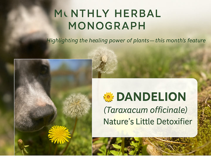 Monthly Herbal Monograph